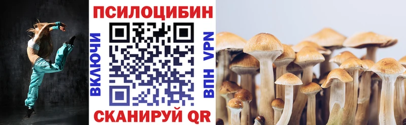 Галлюциногенные грибы Psilocybine cubensis  Купить  Обоянь 
